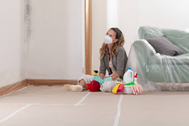 Reliable Basement Mold Remediation contractor in Chesterfield, NJ by Mold Remediation HQ